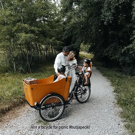 Bed & Breakfast Pri Karlu & 3*