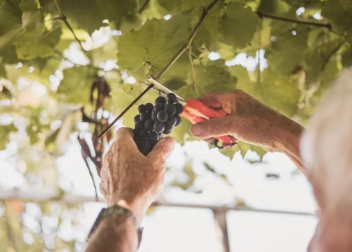 Pri Karlu & 3* マリボル